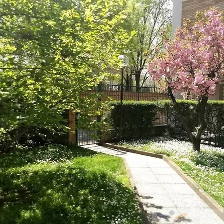 Giolì *